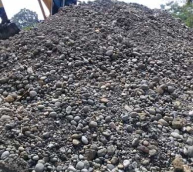 Brangkal Hitam