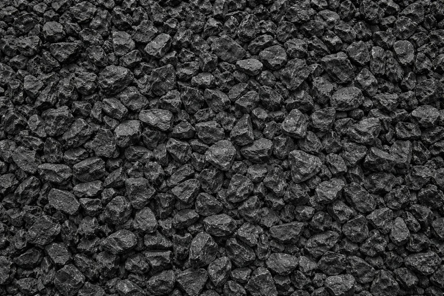 Brangkal Hitam